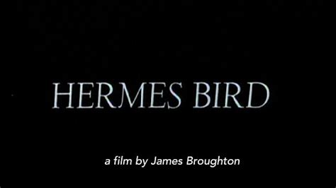 hermes bird 1979 sex film james broughton free online|‎Hermes Bird (1979) directed by James Broughton .